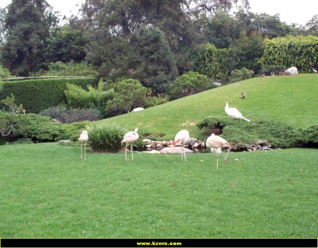 Playboy Mansion