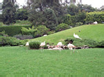 Playboy Mansion