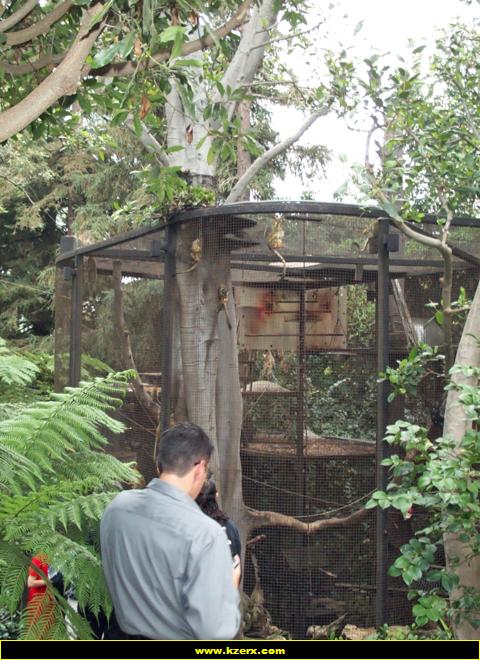 Playboy Mansion