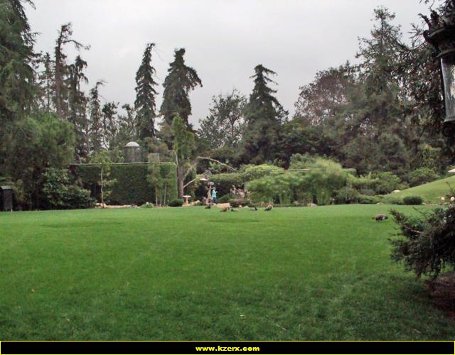 Playboy Mansion