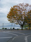 Vancouver
