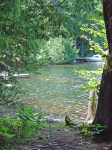 Havelock