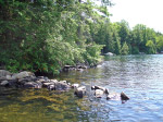 Havelock