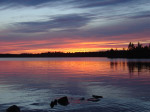 Havelock