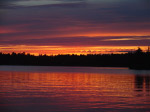 Havelock