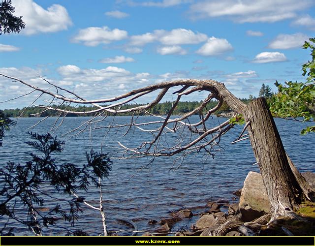 Havelock