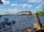 Havelock