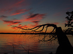 Havelock