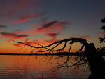 Havelock