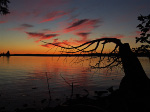 Havelock