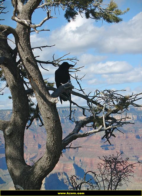 Grand Canyon