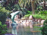 The Mirage