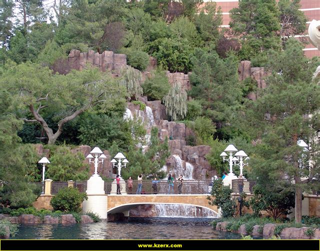 The Wynn
