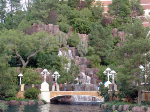 The Wynn