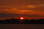 Havelock