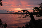 Havelock