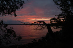 Havelock