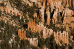 Bryce Canyon