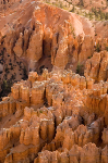 Bryce Canyon