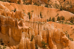 Bryce Canyon