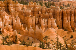 Bryce Canyon