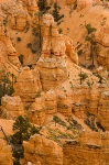 Bryce Canyon