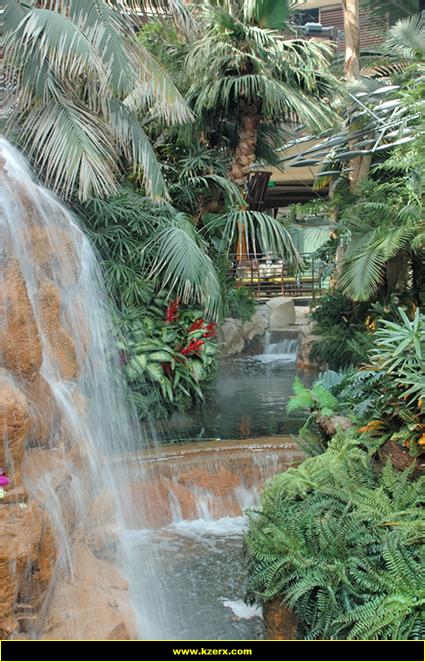 The Mirage