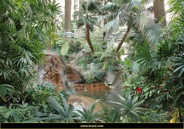 The Mirage