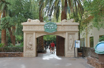 The Mirage