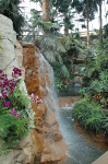 The Mirage