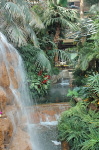 The Mirage