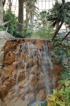 The Mirage