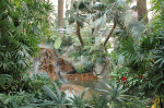 The Mirage