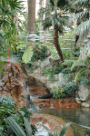 The Mirage