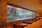 The Mirage