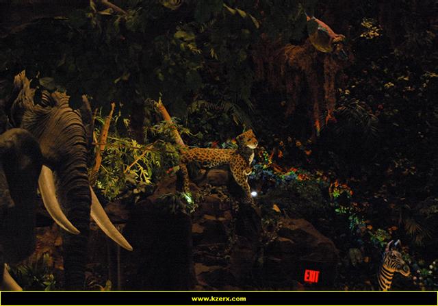 The Rainforest Cafe