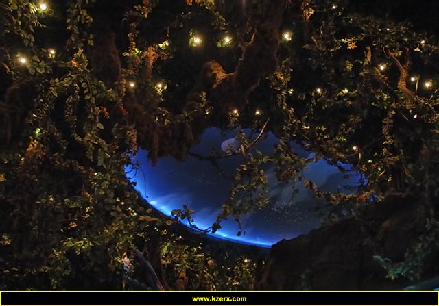 The Rainforest Cafe
