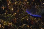 The Rainforest Cafe