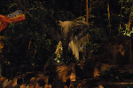 The Rainforest Cafe