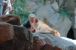 MGM Grand
