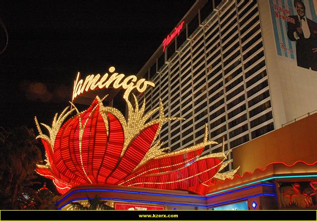 The Flamingo