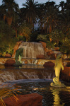 The Mirage