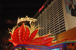 The Flamingo