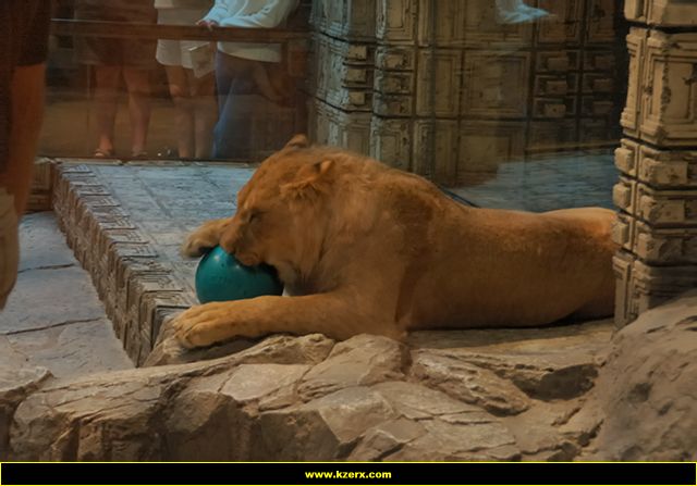 MGM Grand
