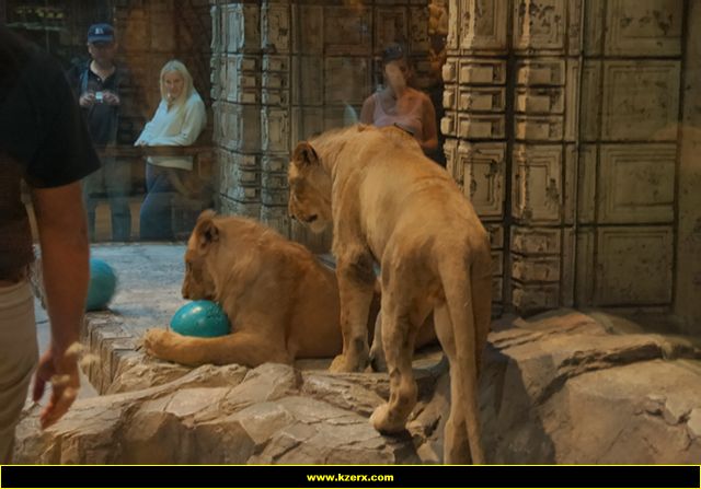 MGM Grand
