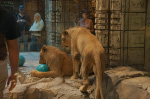 MGM Grand