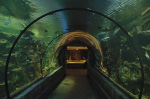 Mandalay Bay