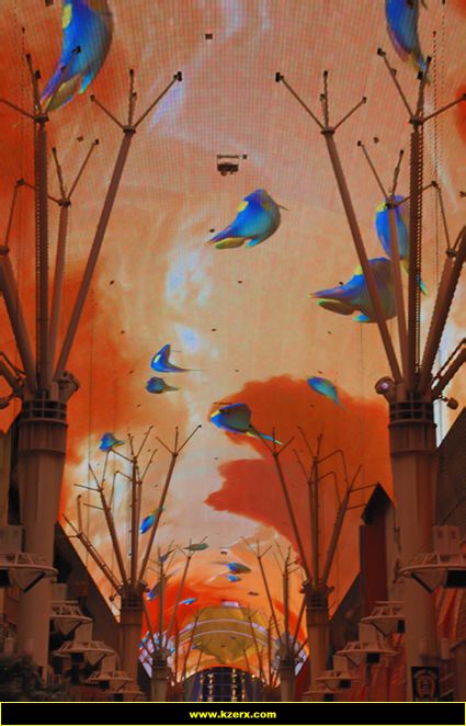 The Fremont Street Experience