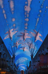 The Fremont Street Experience