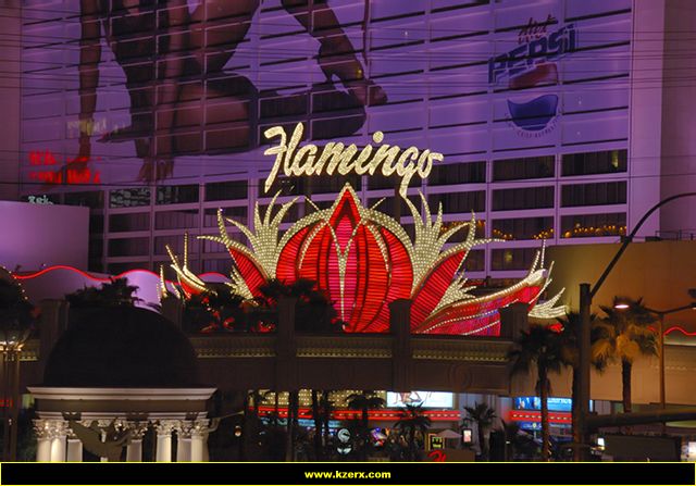 Flamingo